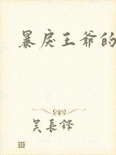 暴戾王爷的贱妾封面