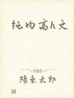 纯肉高h文封面