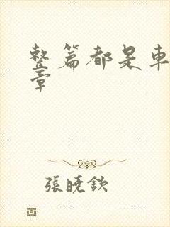 整篇都是车的文章