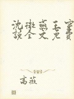 沈微燕王穿越小说全文免费阅读