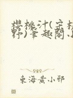 樱桃汁(宋枝江野)笔趣阁小说