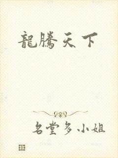 龙腾天下封面