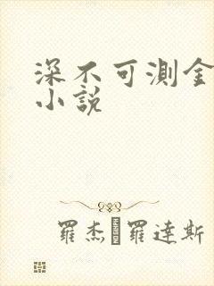 深不可测金银花小说