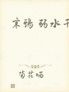 寒鸦 弱水千流
