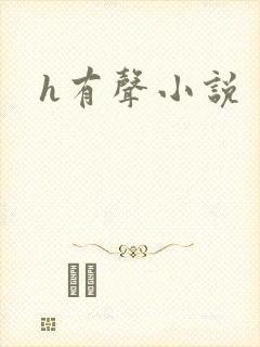 h有声小说