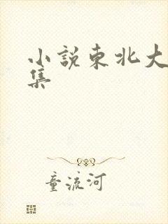 小说东北大炕全集