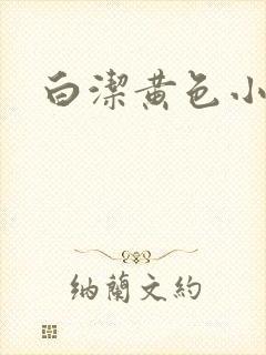 白洁黄色小说