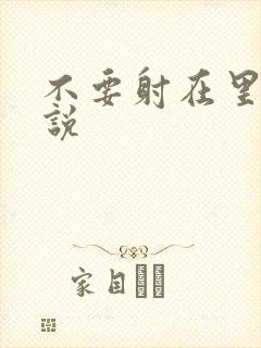 不要射在里面小说