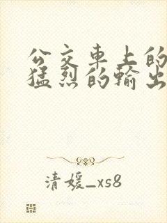 公交车上的诗请猛烈的输出阅读