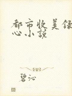 都市收美录宁素心小说