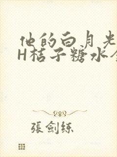他的白月光HVH桔子糖水全文