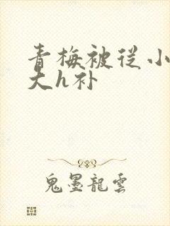 青梅被从小摸到大h补封面