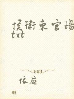 侯卫东官场笔记txt封面