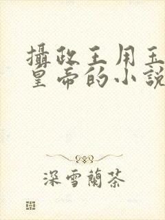 摄政王用玉髓整皇帝的小说