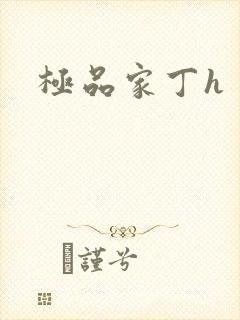 极品家丁h