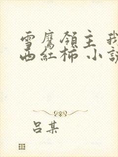 雪鹰领主 我吃西红柿 小说