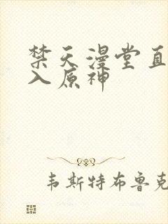 禁天漫堂直接进入原神