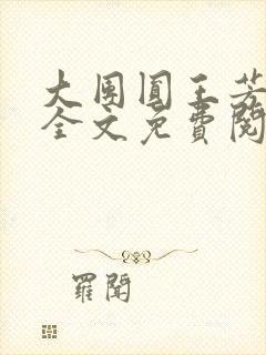 大团圆王芳高敏全文免费阅读封面