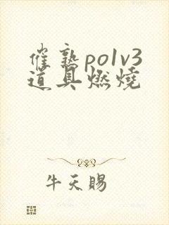 催熟po1v3道具燃烧封面