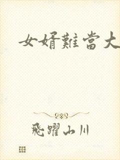 女婿难当大结局封面