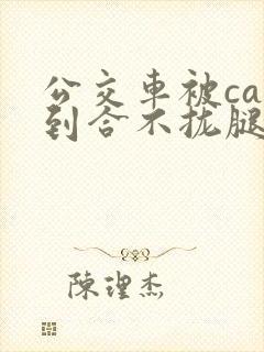 公交车被cao到合不拢腿视频封面