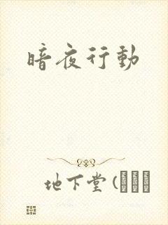 暗夜行动