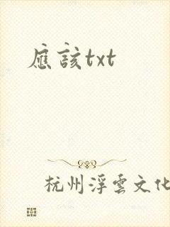 应该txt