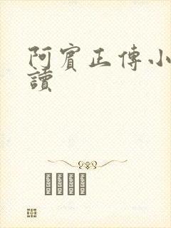 阿宾正传小说在读