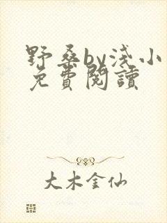 野桑by浅小说免费阅读