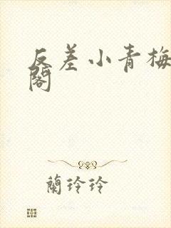 反差小青梅笔趣阁封面