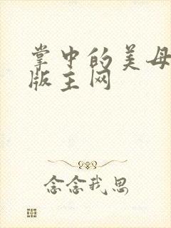 掌中的美母第一版主网封面