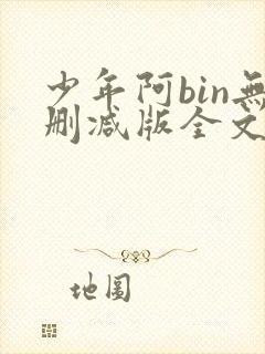 少年阿bin无删减版全文阅读封面
