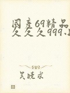 国产69精品久久久久999小说