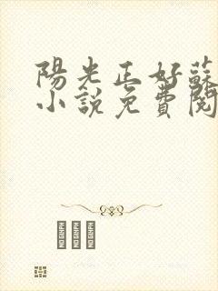 阳光正好苏玥玥小说免费阅读