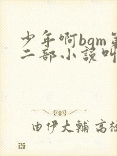 少年啊bgm第二部小说叫什么
