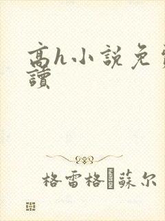 高h小说免费阅读封面