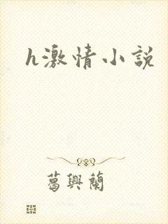 h激情小说封面