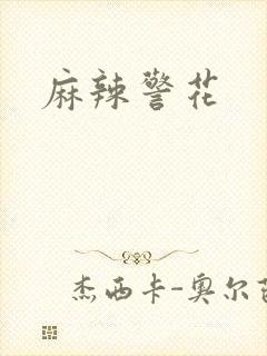 麻辣警花