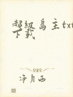 超级岛主txt下载