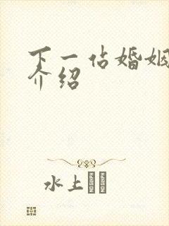 下一站婚姻剧情介绍封面