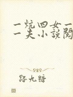 一炕四女一共侍一夫小说阅读