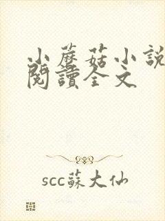 小蘑菇小说免费阅读全文封面