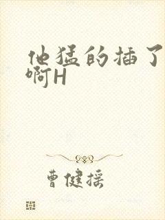 他猛的插了进去啊H