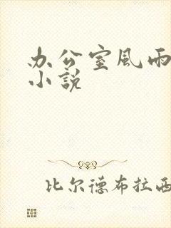 办公室风雨完整小说封面