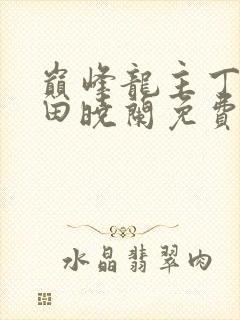 巅峰龙主丁长顺田晓兰免费阅读