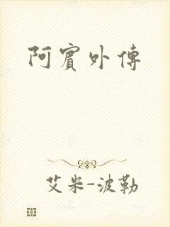 阿宾外传
