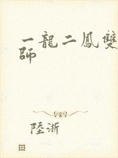 一龙二凤双飞老师