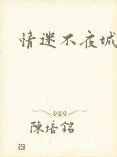 情迷不夜城