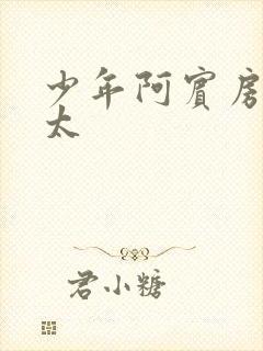 少年阿宾房东太太