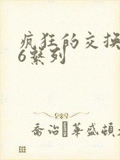 疯狂的交换1一6系列